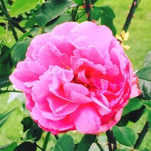 Meet your Posher, Zhen